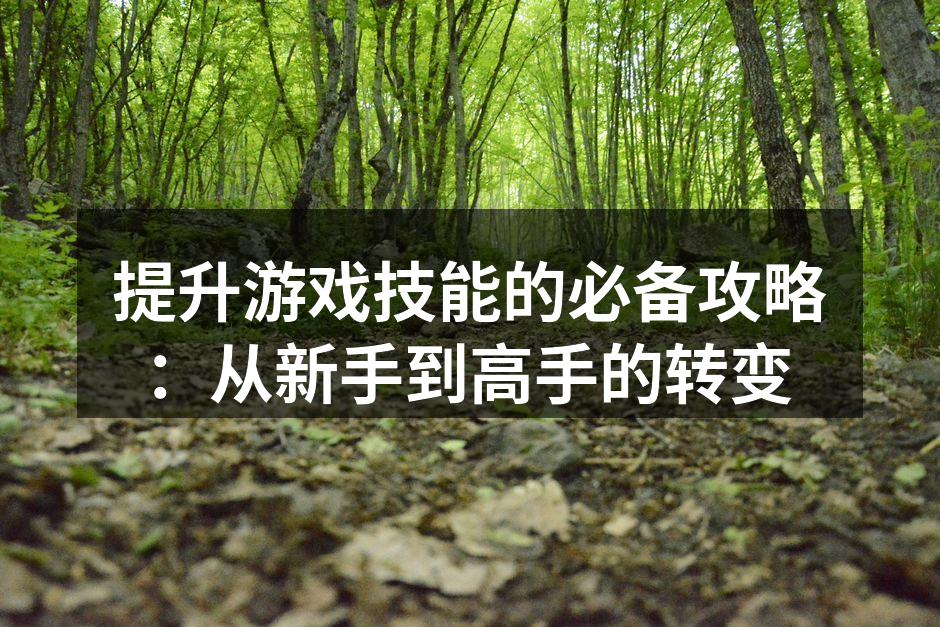 提升游戏技能的必备攻略：从新手到高手的转变